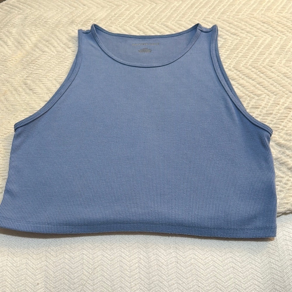 American Eagle Crop Tee Size L Powder Blue